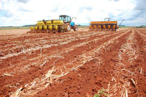 Os solos brasileiros